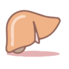 The liver breaks down toxins in the body. To do this, it uses a range of enzymes.